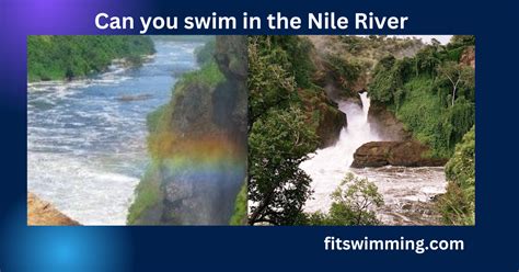 Can You Swim In Hudson River? Exploring the Nuances of River Swimming and Its Environmental Implications