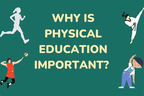 what is physical education brainly? what about the role of physical education in fostering creativity and innovation?